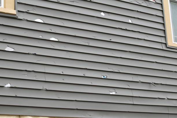 Best Aluminum Siding Installation  in Start, LA